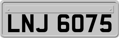LNJ6075