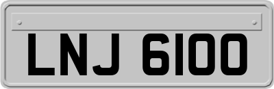 LNJ6100