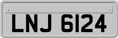 LNJ6124