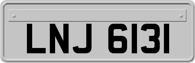 LNJ6131
