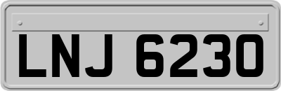 LNJ6230