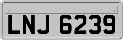 LNJ6239
