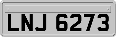 LNJ6273