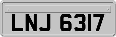 LNJ6317