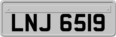 LNJ6519