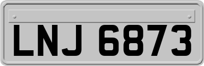LNJ6873