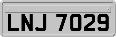 LNJ7029