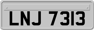 LNJ7313