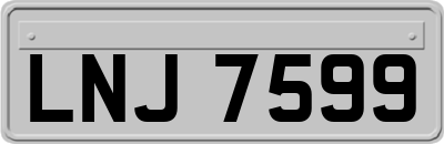 LNJ7599