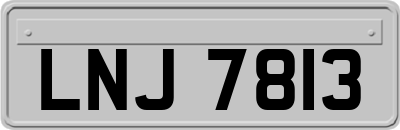 LNJ7813