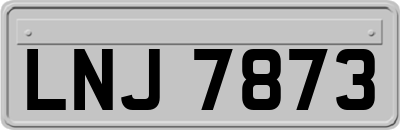 LNJ7873