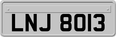 LNJ8013