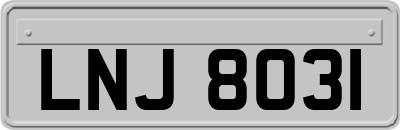 LNJ8031