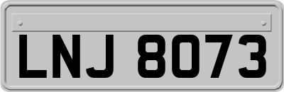 LNJ8073