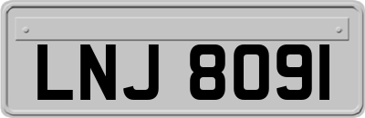 LNJ8091