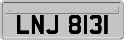 LNJ8131