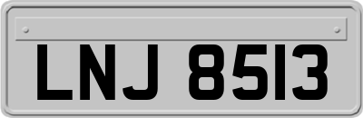 LNJ8513