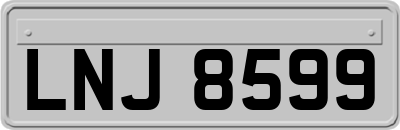 LNJ8599