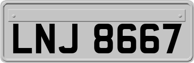 LNJ8667