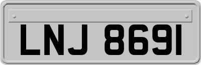 LNJ8691