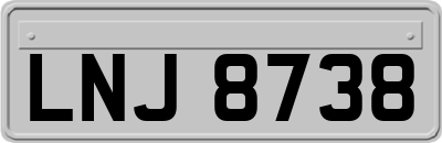 LNJ8738