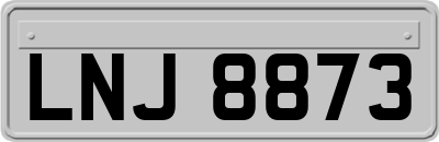 LNJ8873