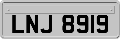 LNJ8919