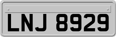 LNJ8929