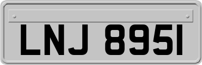 LNJ8951