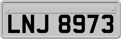 LNJ8973