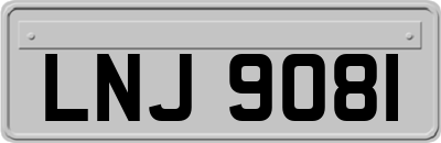 LNJ9081