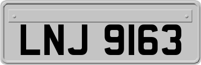 LNJ9163