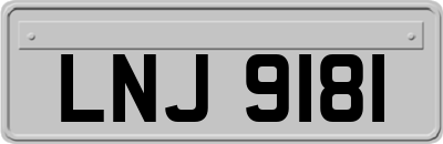 LNJ9181