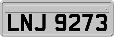 LNJ9273