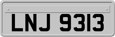 LNJ9313
