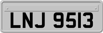 LNJ9513
