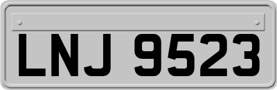 LNJ9523
