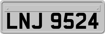 LNJ9524