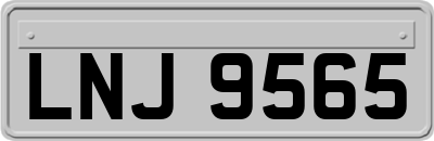 LNJ9565