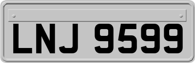 LNJ9599