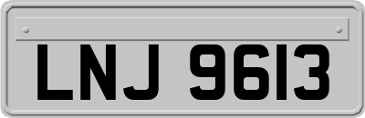 LNJ9613