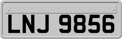 LNJ9856
