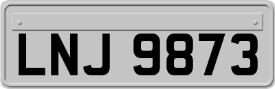 LNJ9873