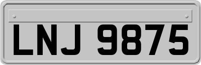 LNJ9875