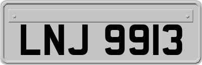 LNJ9913