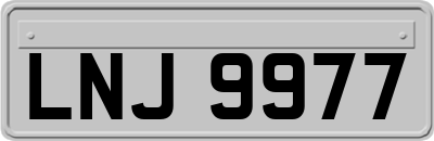 LNJ9977
