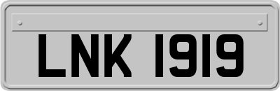 LNK1919