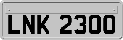 LNK2300