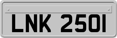 LNK2501