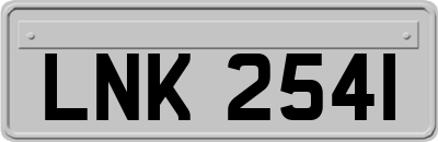 LNK2541